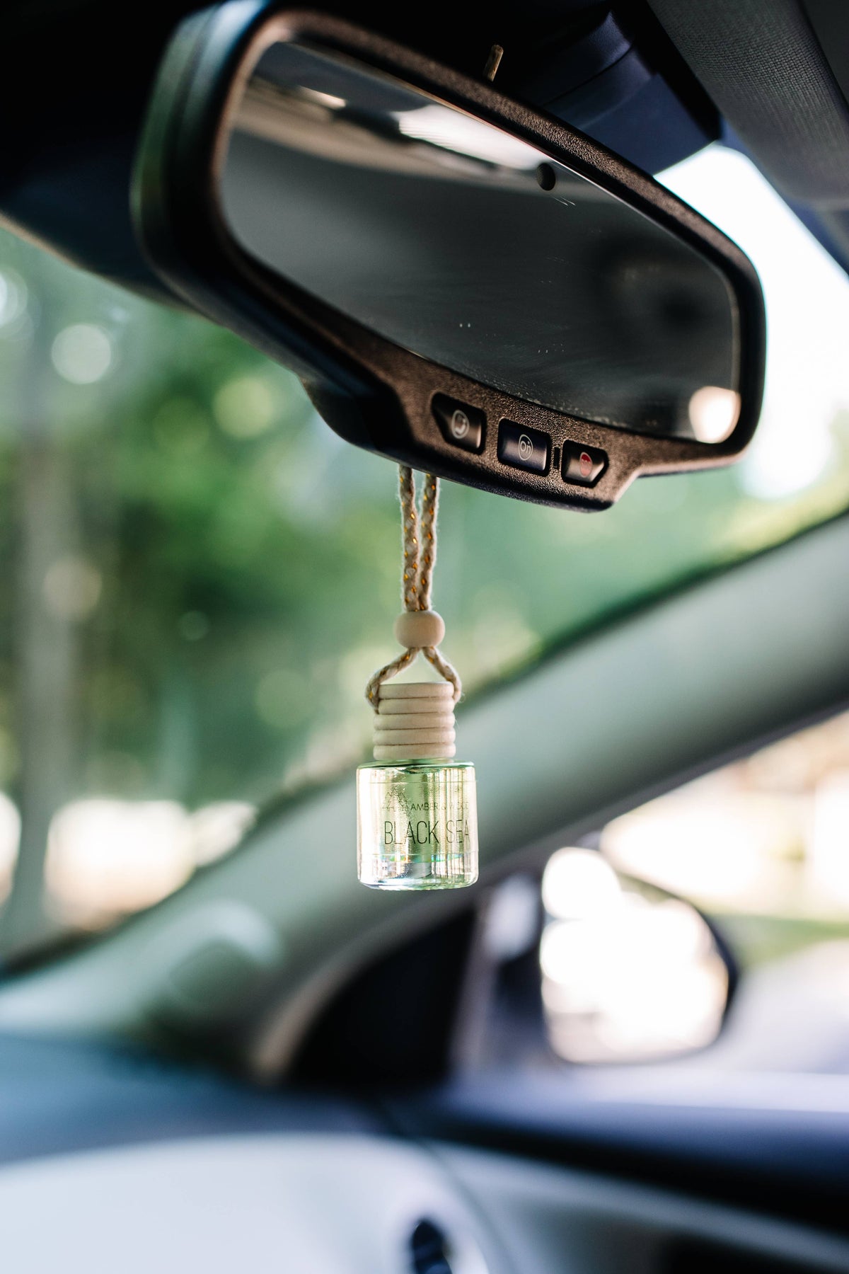 Car Diffusers | Car Fresheners: Alpine Getaway - Storm and Sky Shoppe - Amber & Wood