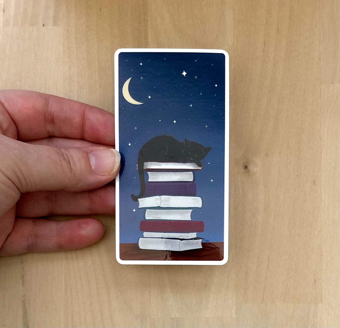 Cat Sleeping on Books Sticker - Storm and Sky Shoppe