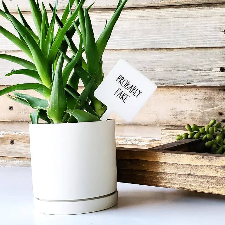 Snarky Plant Marker Stake - Storm and Sky Shoppe