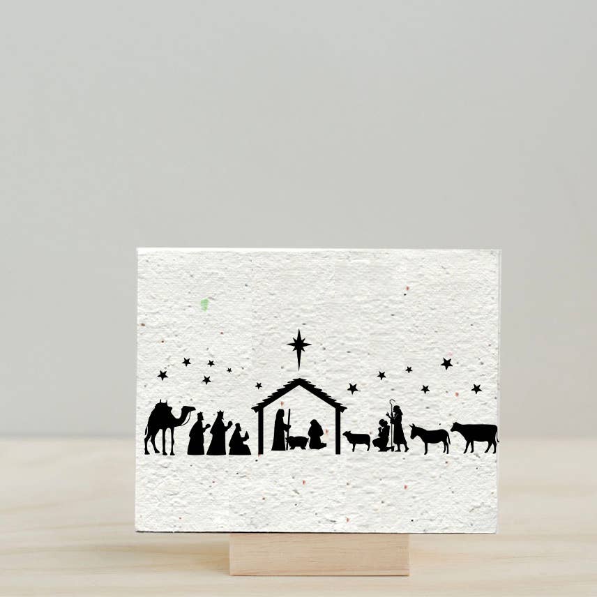 Wildflower Seed Christmas Cards - Storm and Sky Shoppe - Artsy Em