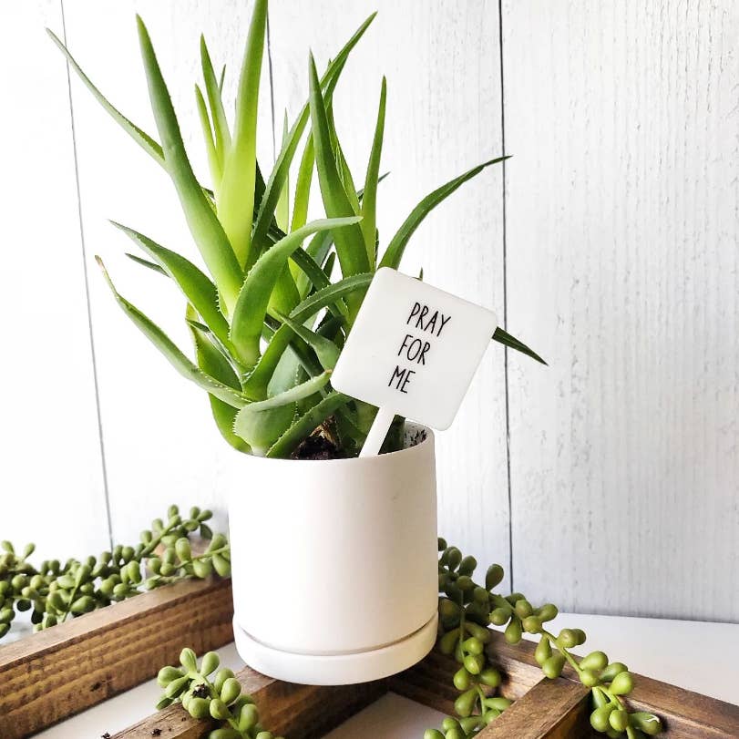 Snarky Plant Marker Stake - Storm and Sky Shoppe