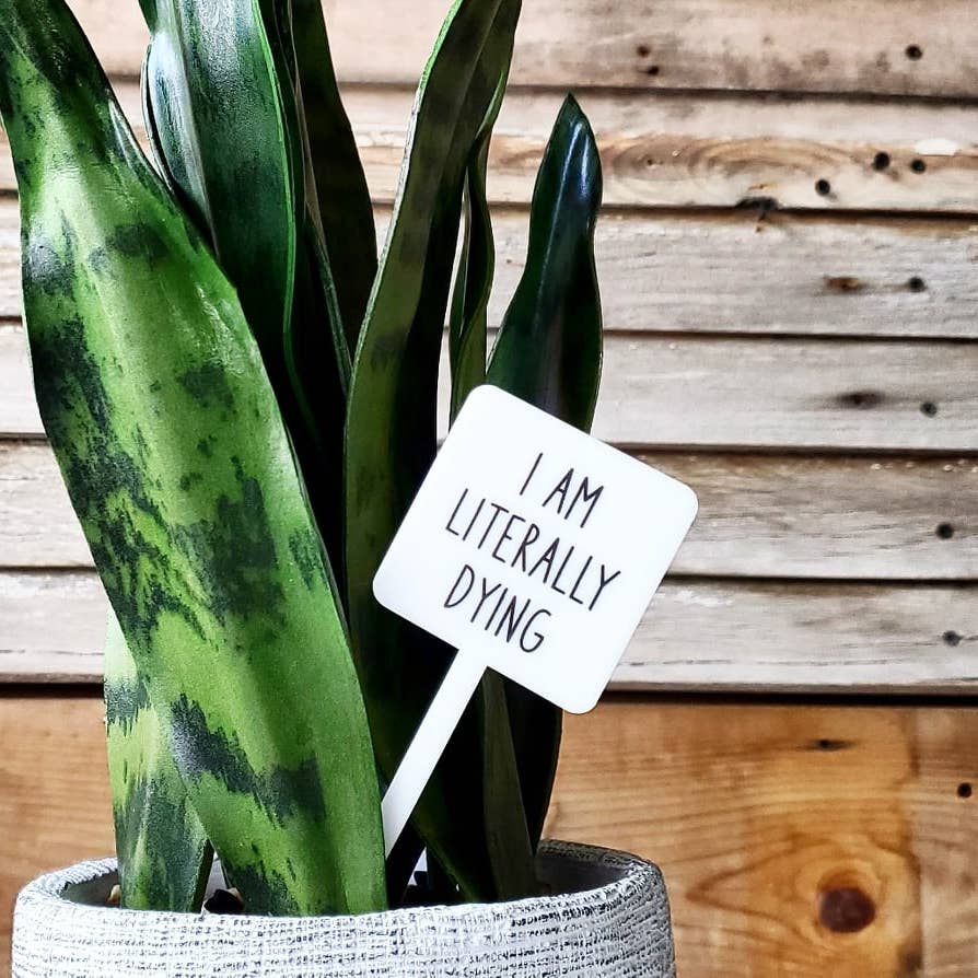 Snarky Plant Marker Stake - Storm and Sky Shoppe - Mad River