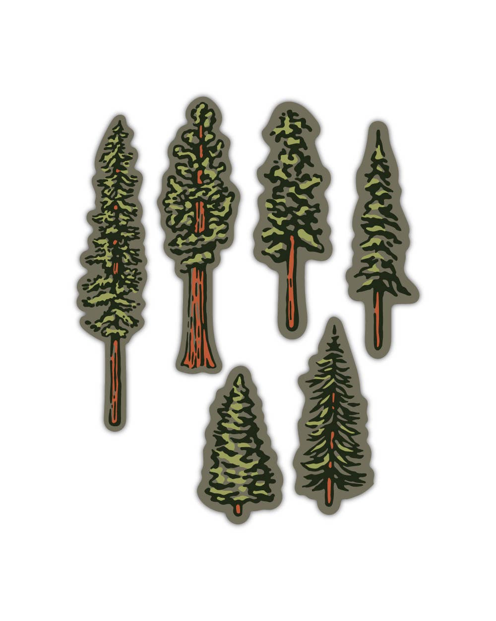 Nature Study Water Bottle Sticker Pack | Conifers - Storm and Sky Shoppe - Keep Nature Wild