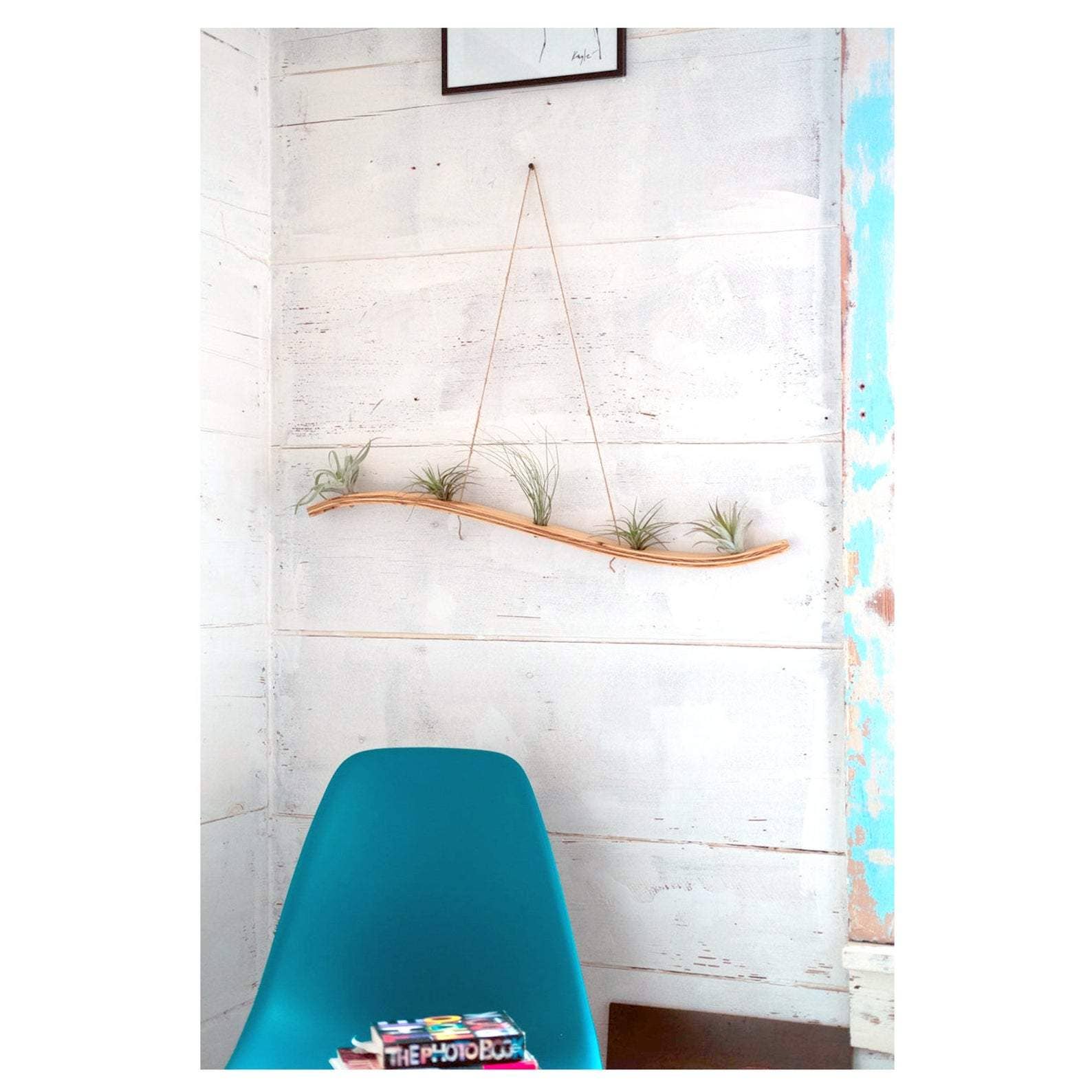 large air plant hanger Large Wave Air Plant Hanger – Storm and Sky Shoppe