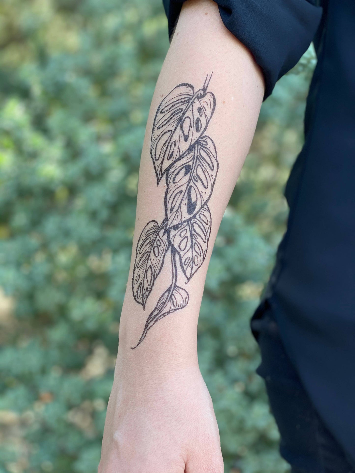Monstera Vine Temporary Tattoo - Storm and Sky Shoppe