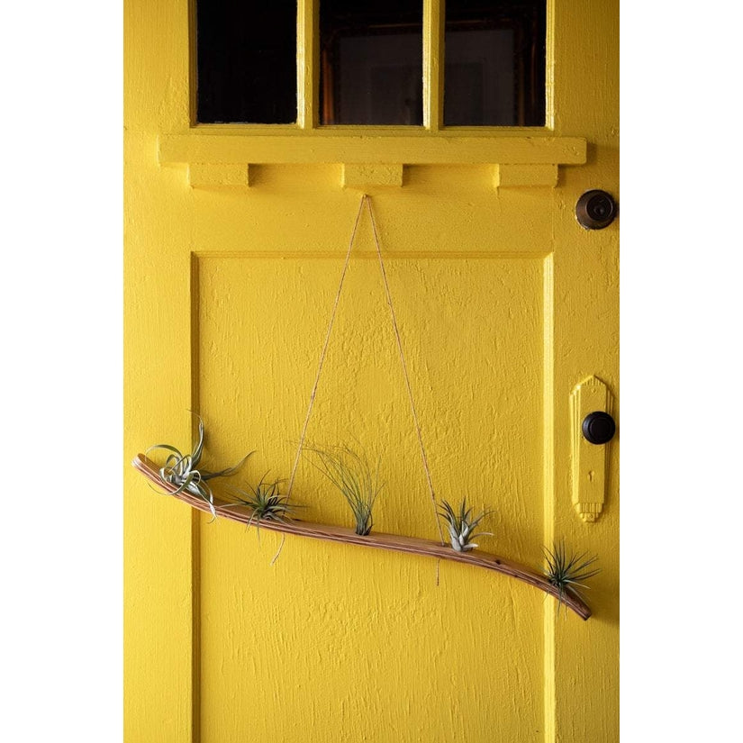 Large Wave Air Plant Hanger - Storm And Sky