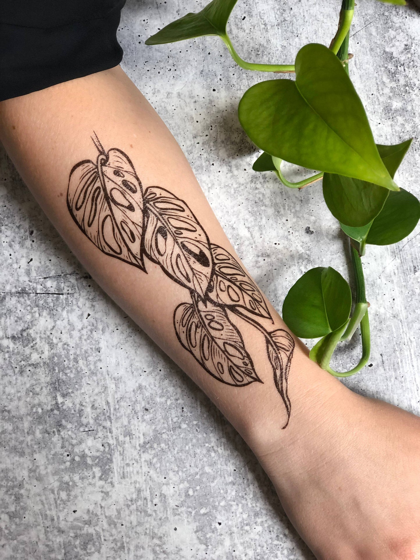 Monstera Vine Temporary Tattoo - Storm and Sky Shoppe