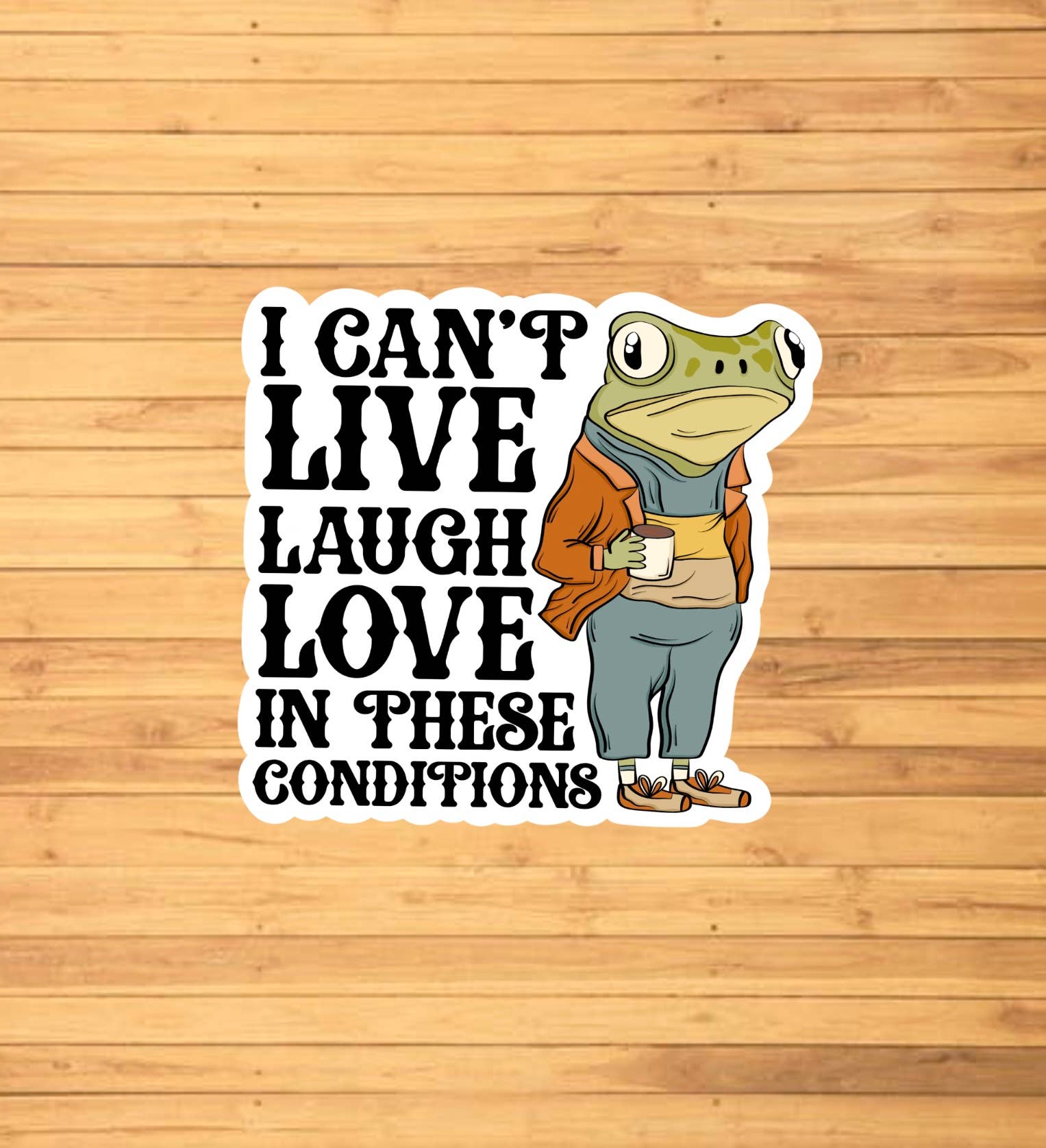 I Can't Live Laugh Love In These Conditions Sticker - Storm and Sky Shoppe