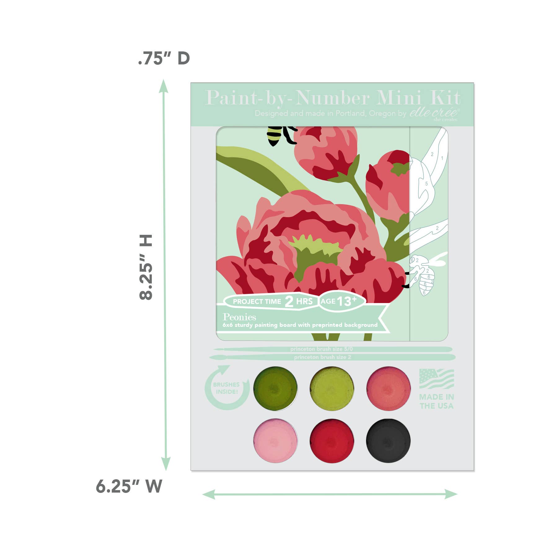 Peonies MINI Paint-by-Number Kit - Storm and Sky Shoppe