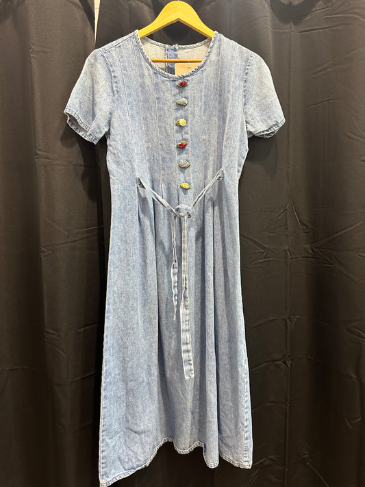 Vintage Jean Dress
