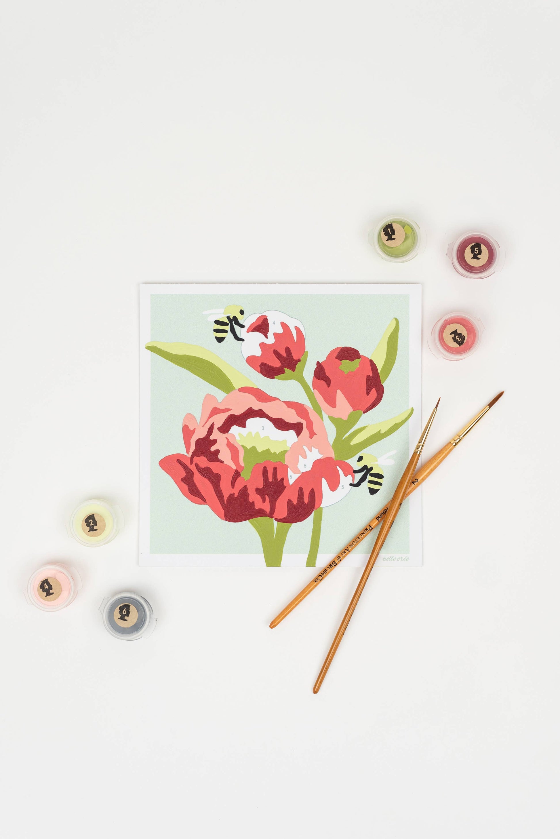 Peonies MINI Paint-by-Number Kit - Storm and Sky Shoppe