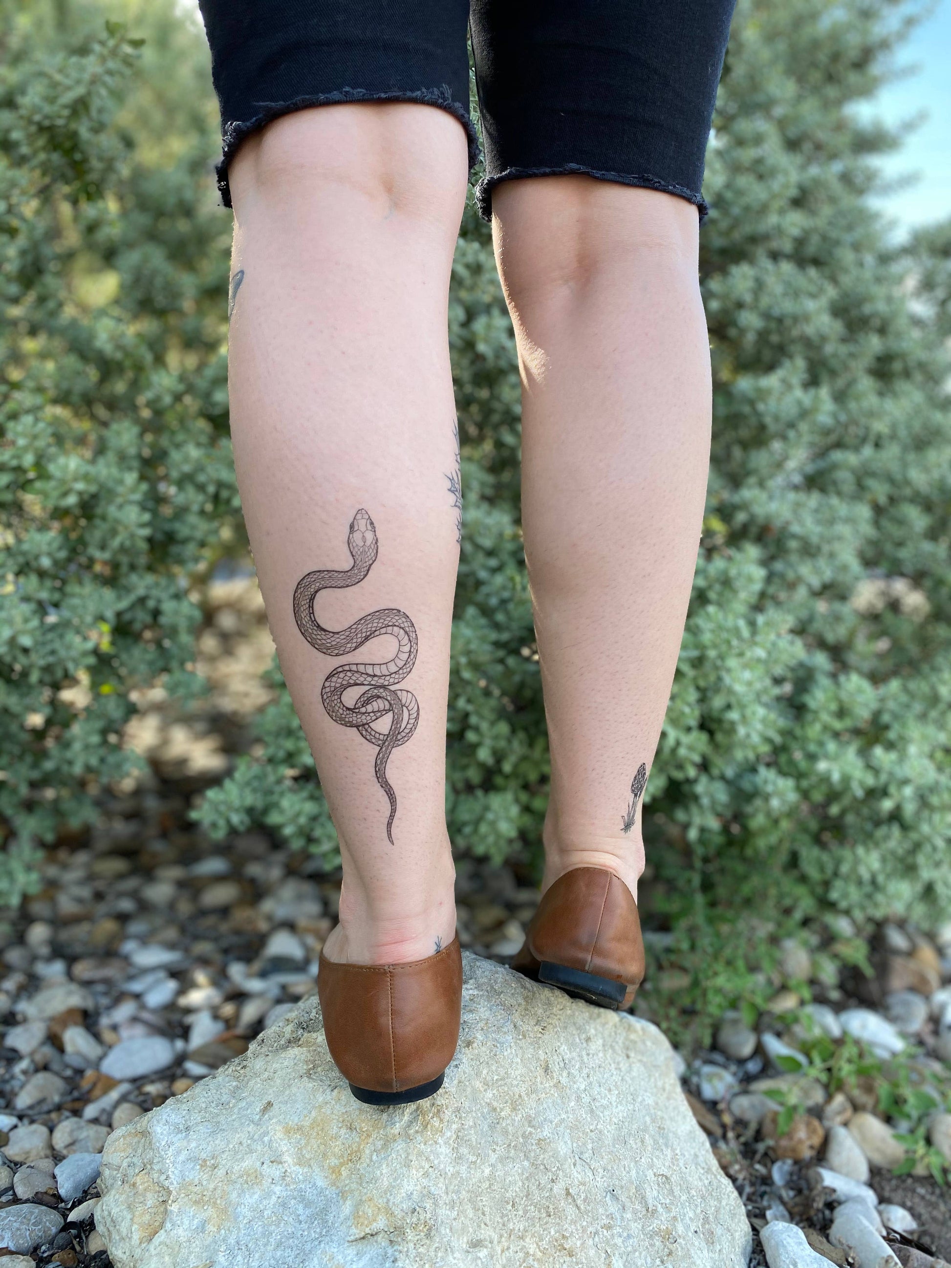Garden Snake Temporary Tattoo: 1-Pack - Storm and Sky Shoppe