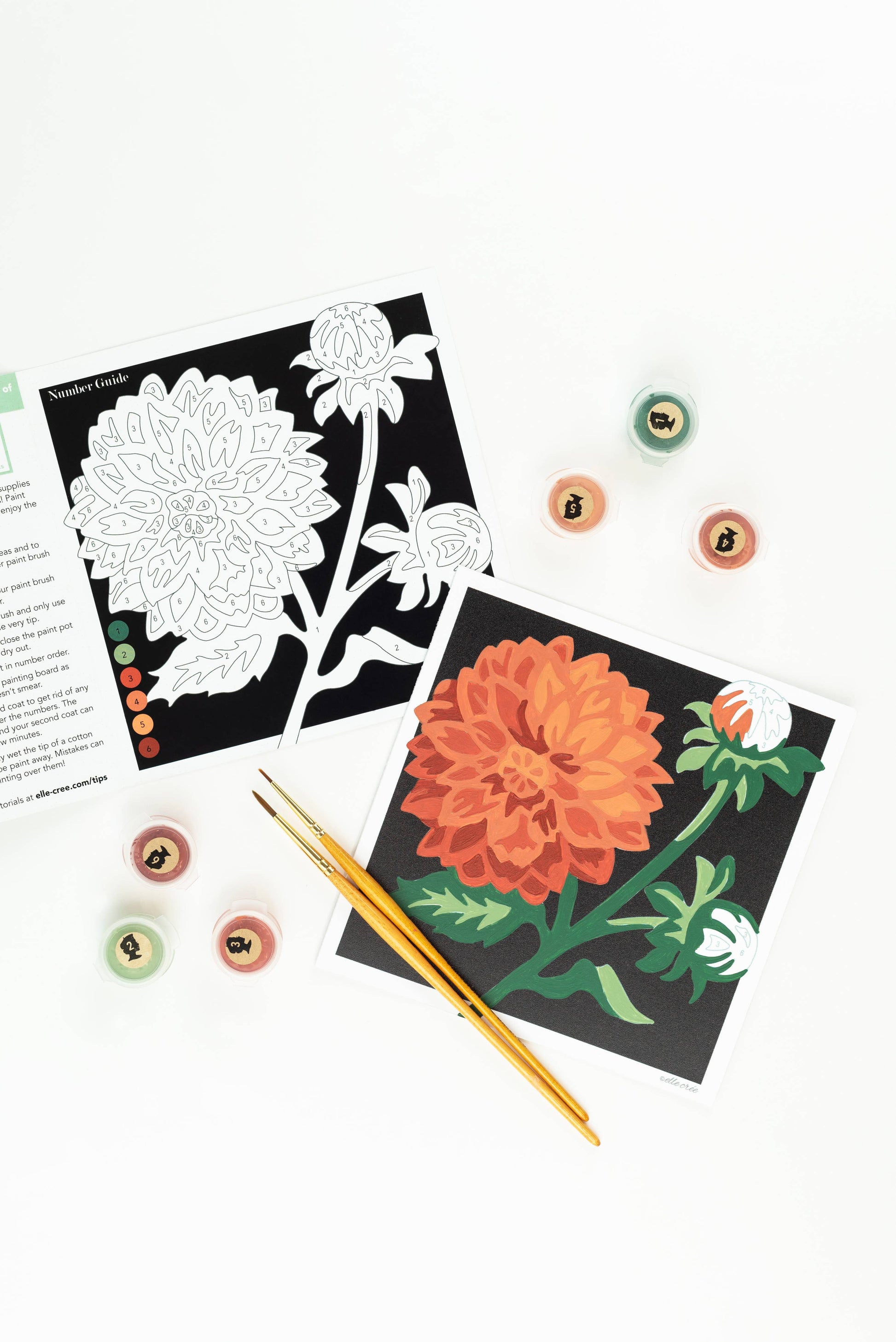 Dahlias MINI Paint-by-Number Kit - Storm and Sky Shoppe