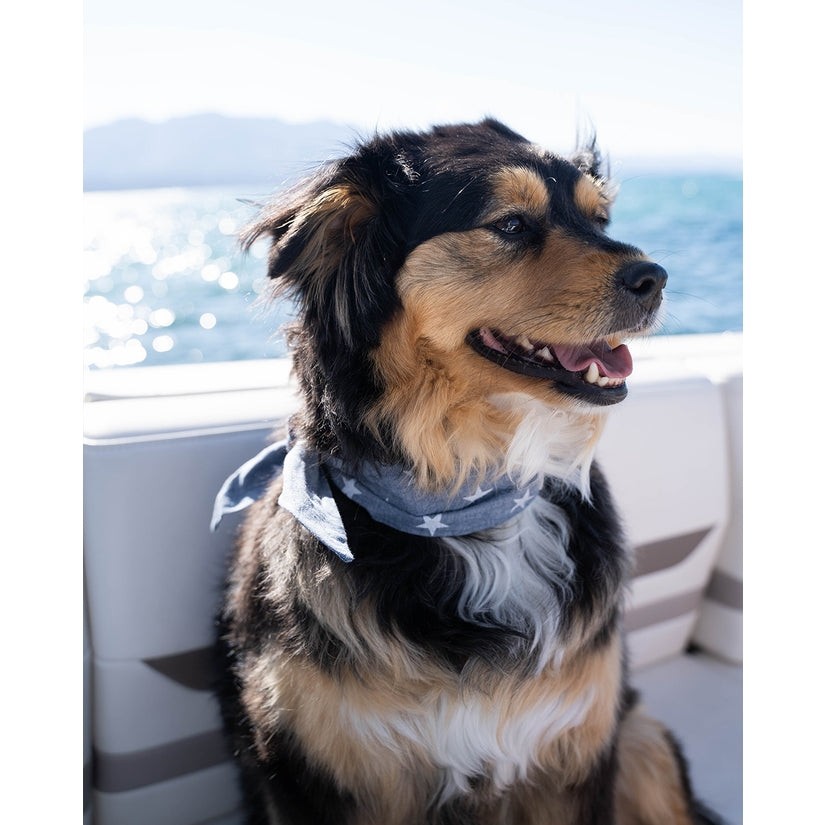 Adventure Dog Handkerchief (2 pattern choices) - Storm And Sky