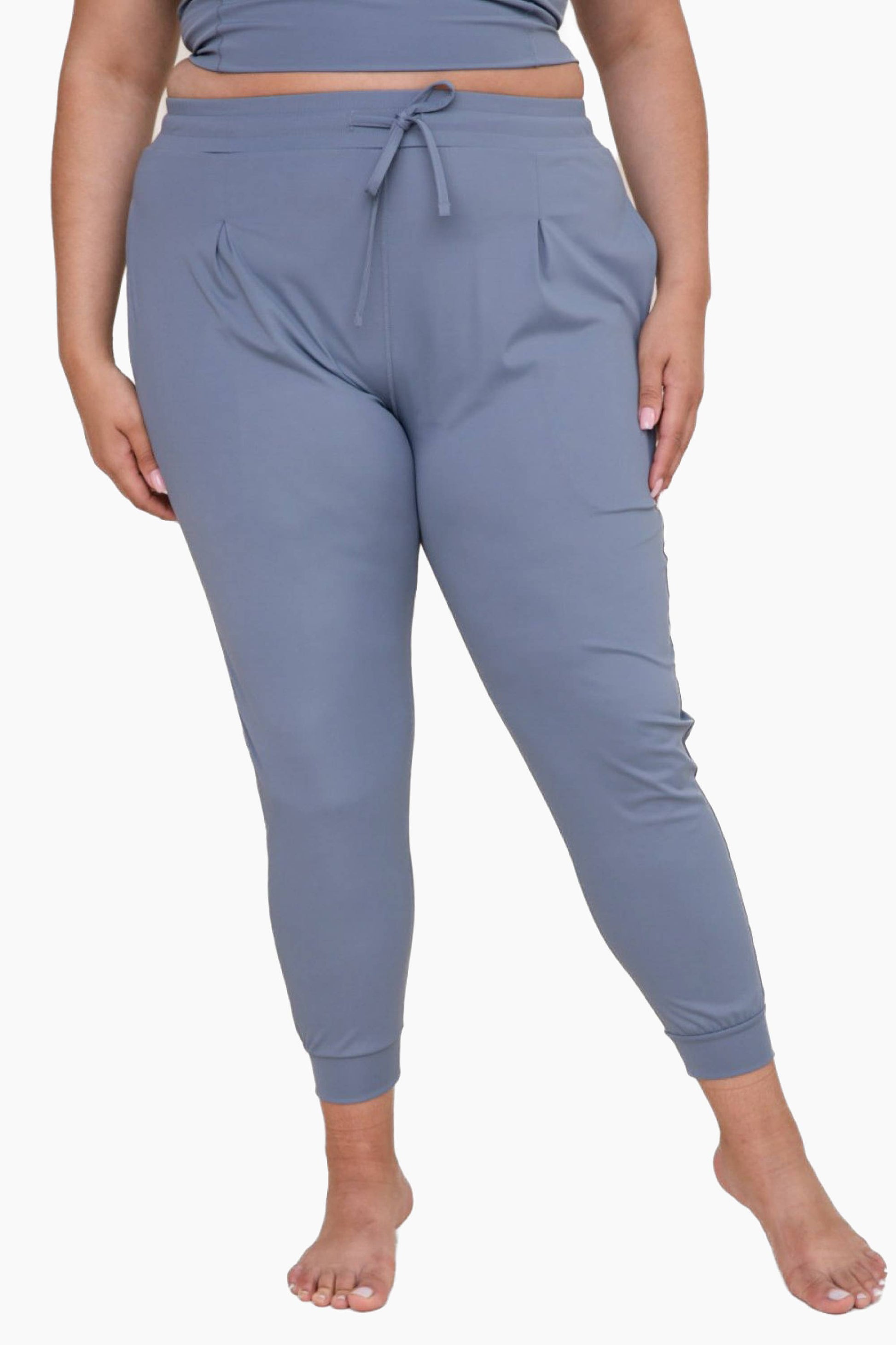 CURVY Solid Pleated Front Joggers - Storm and Sky Shoppe - Mono B