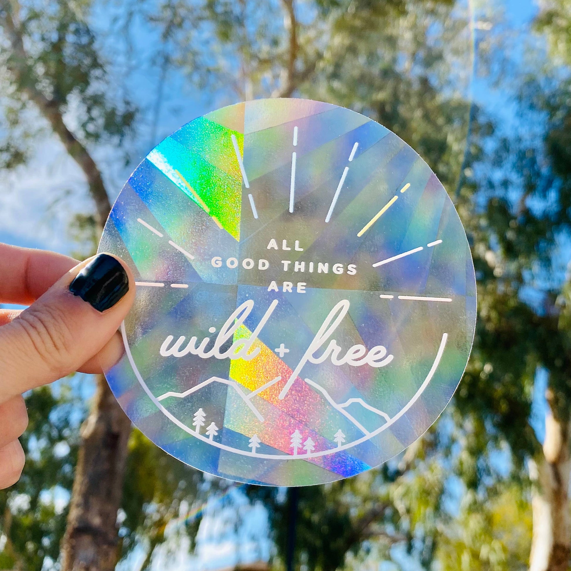 Wild + Free Suncatcher Sticker for Nature Lovers - Storm and Sky Shoppe