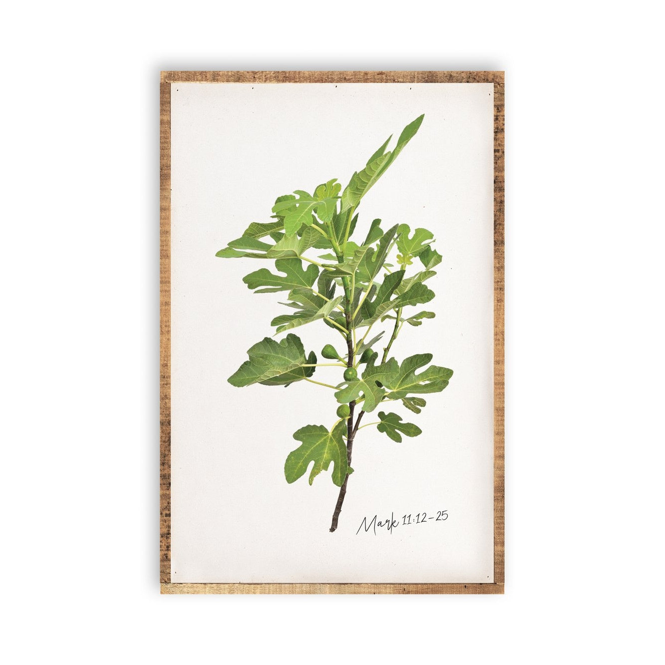 The Botanicals Greenery Scripture Wall Art Individual or Set - Storm And Sky