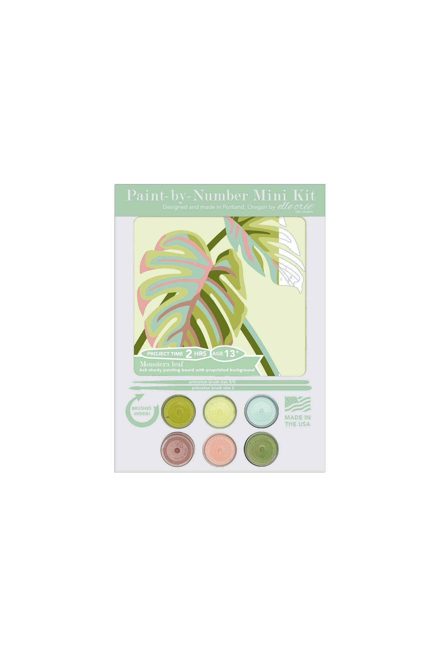 Monstera Leaves MINI Paint-by-Number Kit - Storm and Sky Shoppe