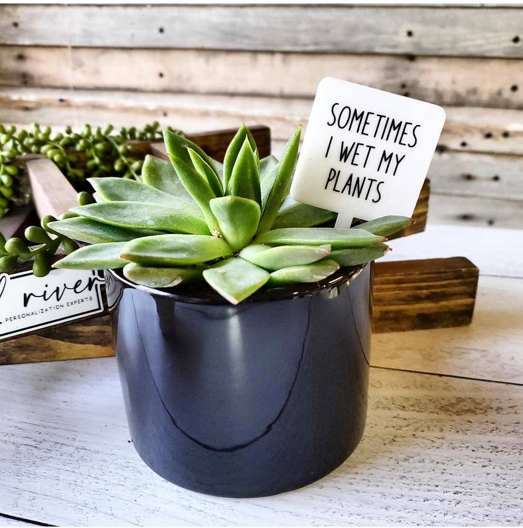 Snarky Plant Marker Stake -  Sometimes I Wet my Plants - Storm And Sky