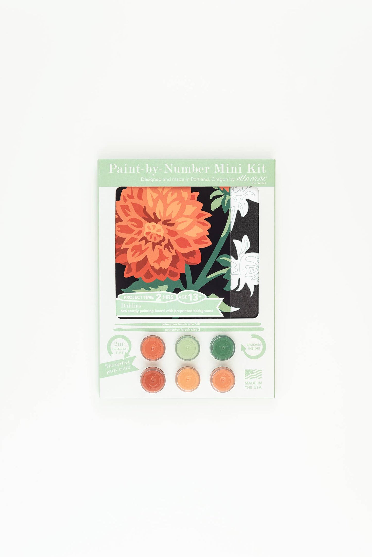 Dahlias MINI Paint-by-Number Kit - Storm and Sky Shoppe