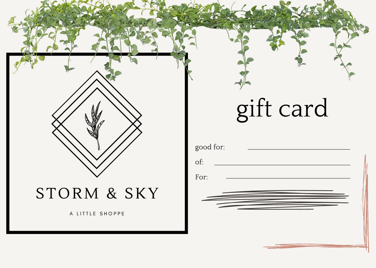 Storm and Sky Shoppe Digital Gift Card - Storm and Sky Shoppe