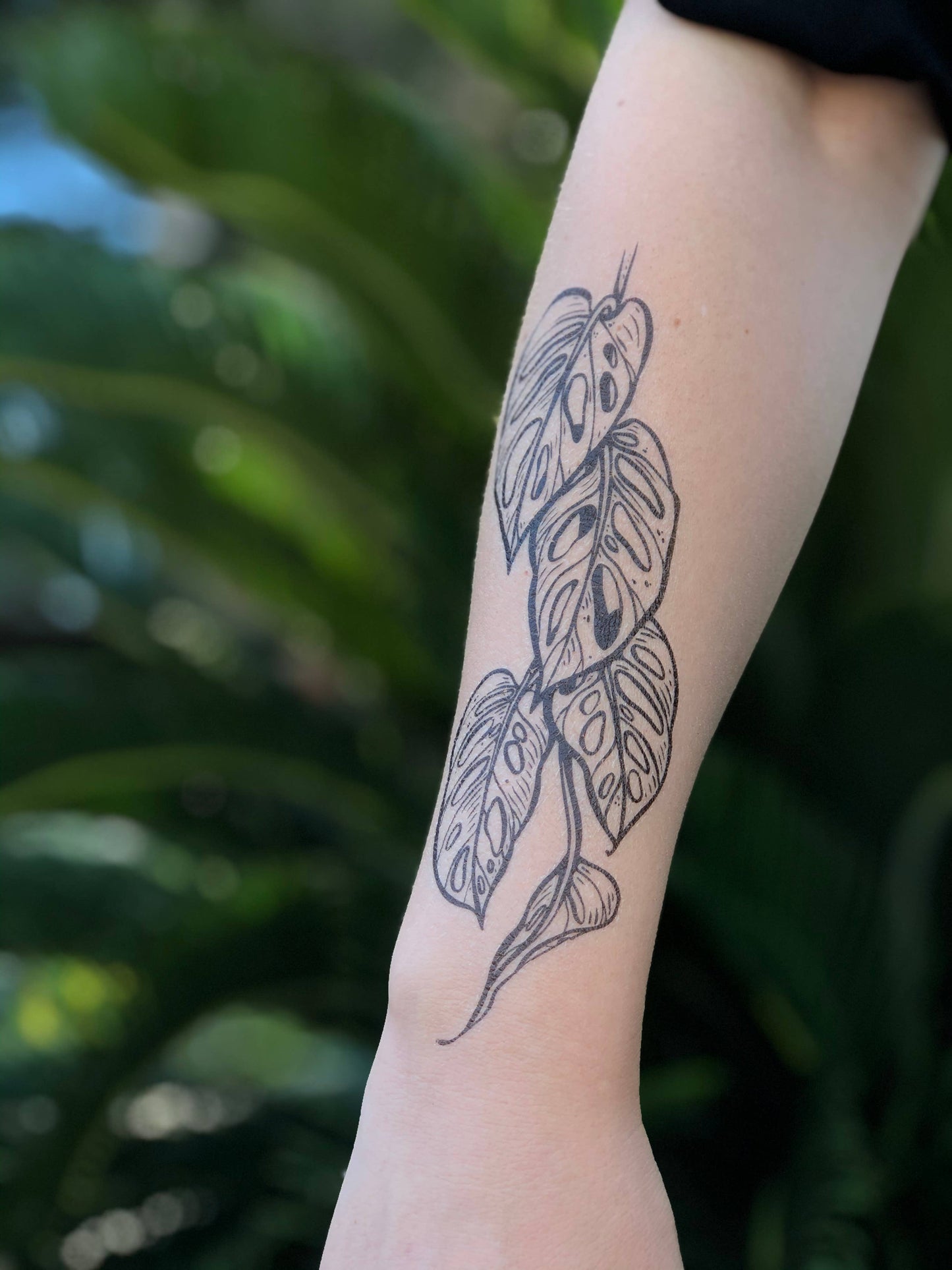 Monstera Vine Temporary Tattoo - Storm and Sky Shoppe