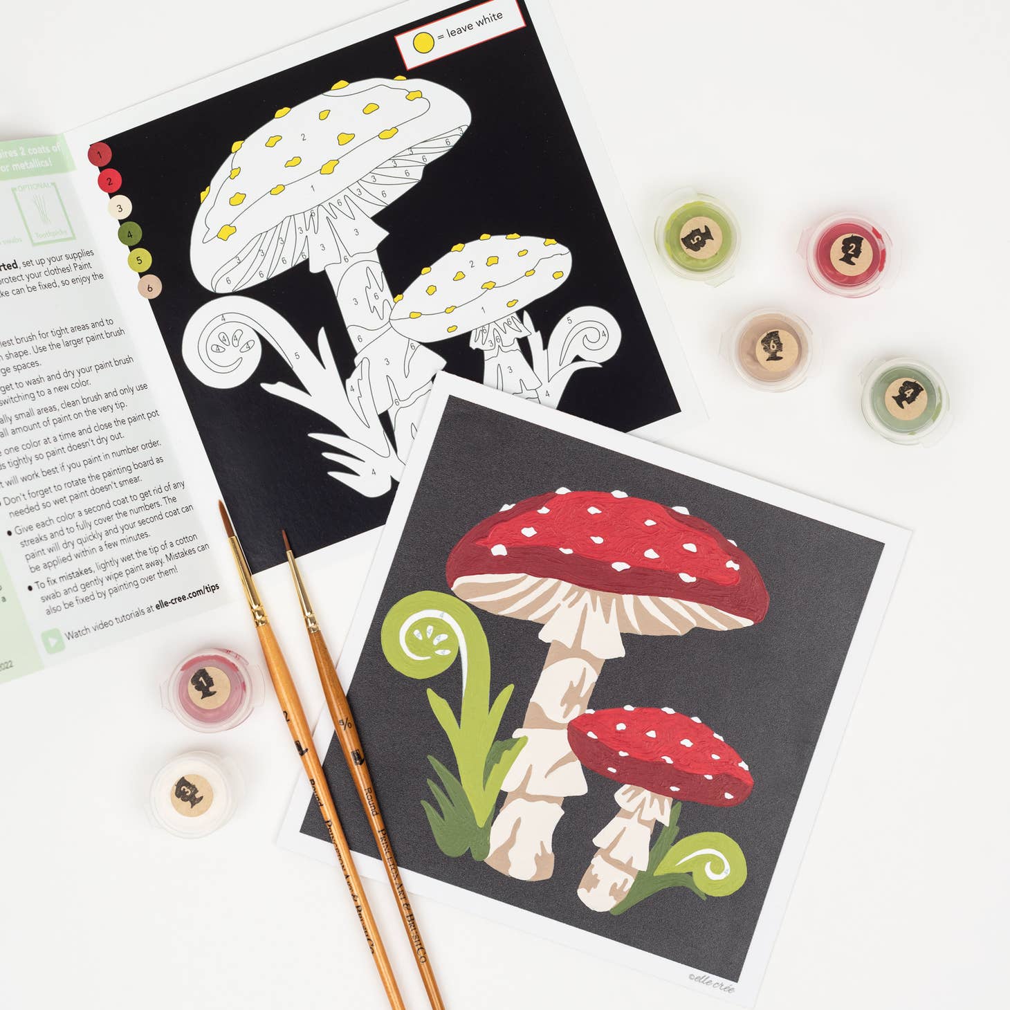 Fly Agaric Mushrooms MINI Paint-by-Number Kit - Storm and Sky Shoppe